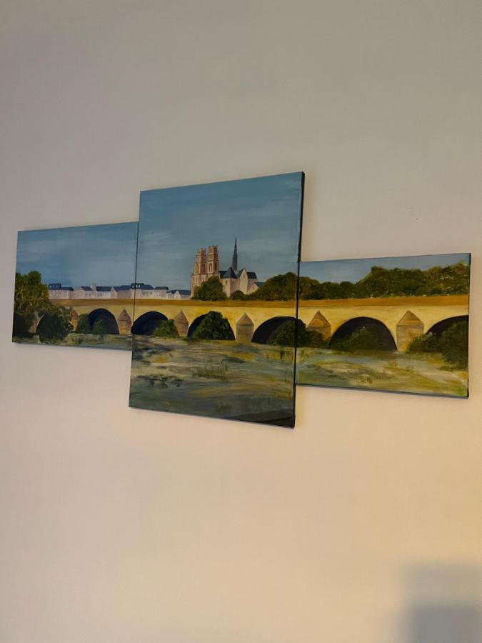 Cosy Loire, T2 Neuf, Front De Loire ,Vue Cathedrale,5Min A Pied Centre Ville Et Parking Prive أورلييو المظهر الخارجي الصورة